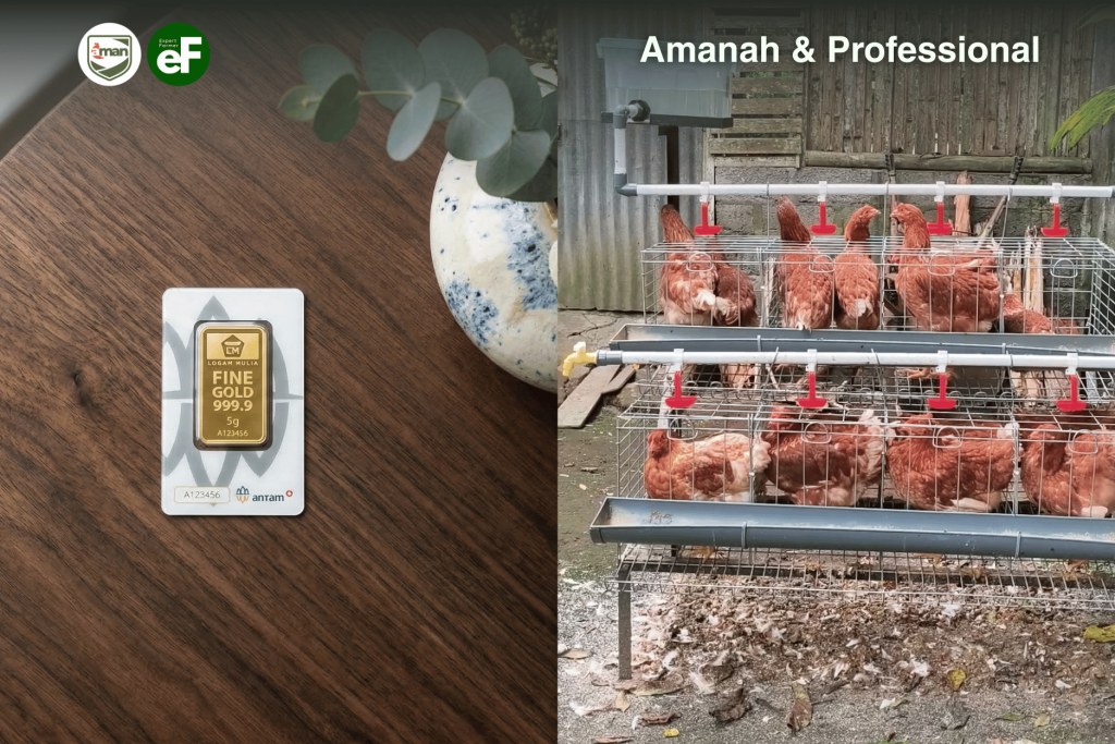 Emas 5 Gram vs Ayam Petelur 24 Ekor: Untung Mana?