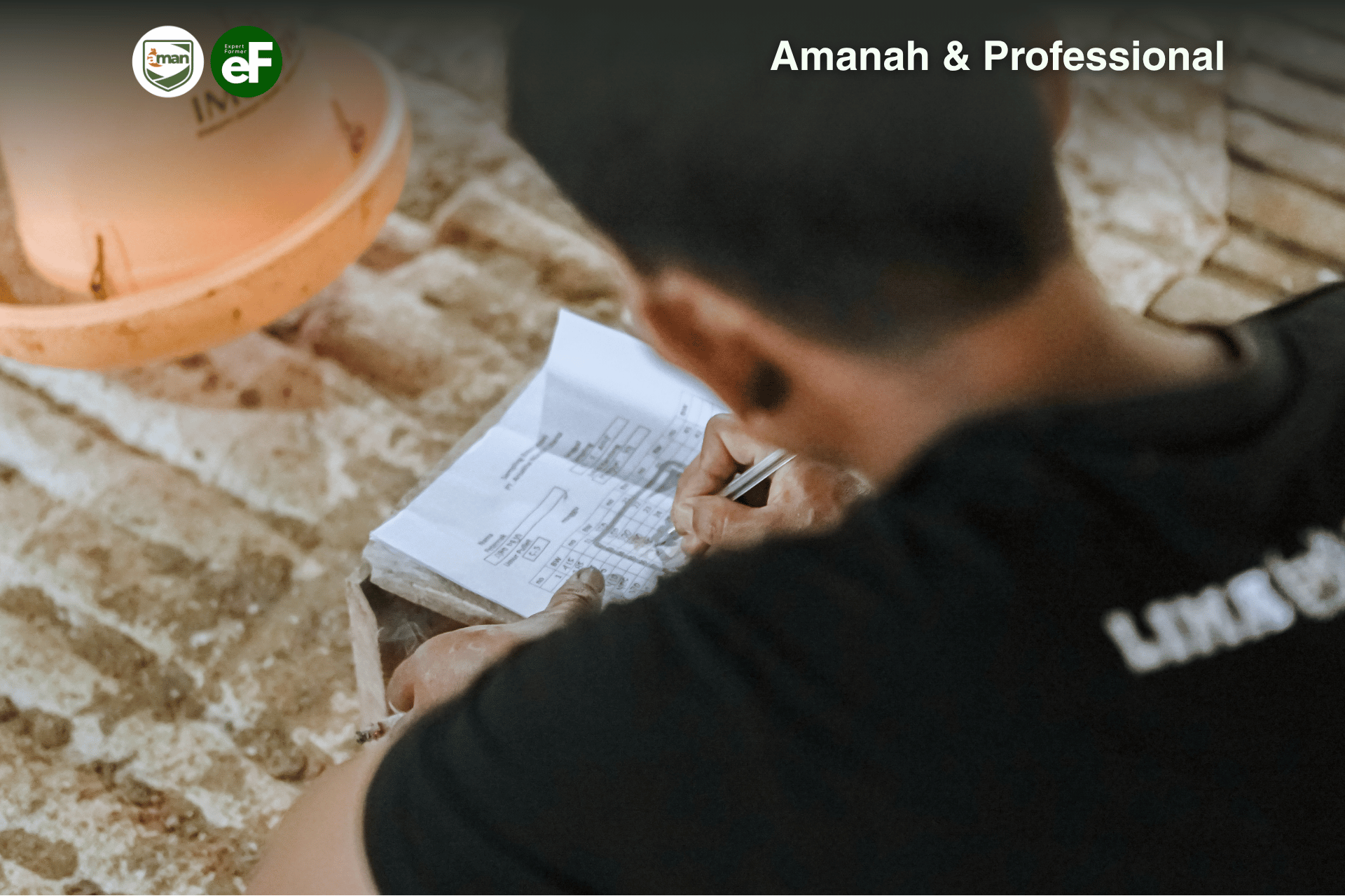 Pentingnya Recording Kesehatan Ayam Pullet