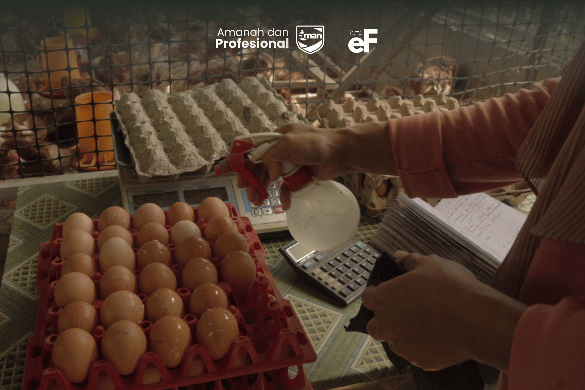 Tata Cara Menyimpan Telur Dengan Benar Agar Awet